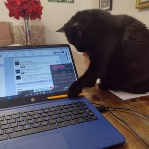 Meet your Posher, Susan